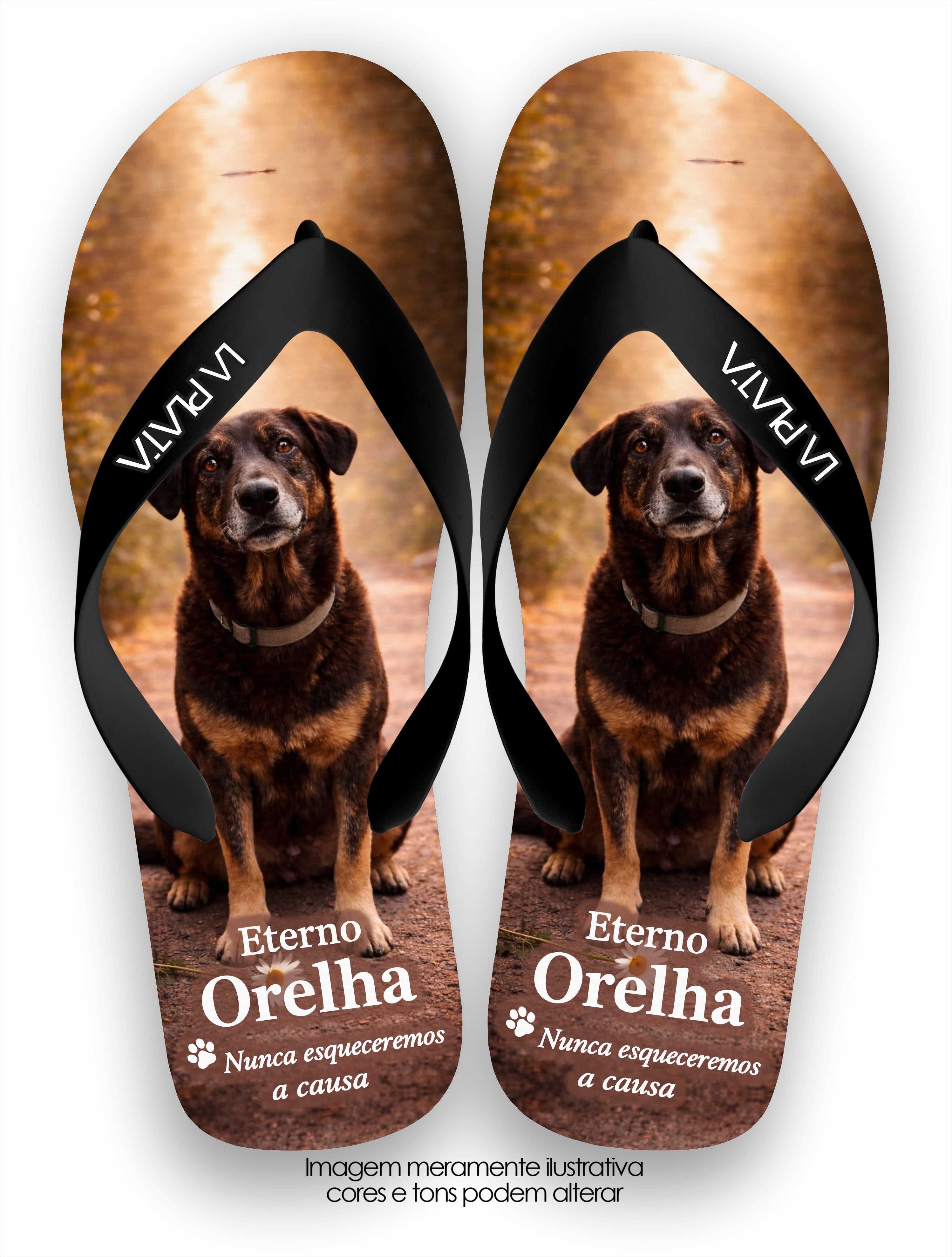 Chinelo Tradicional La Patinhas Dogs Eterno Cachorro Orelha