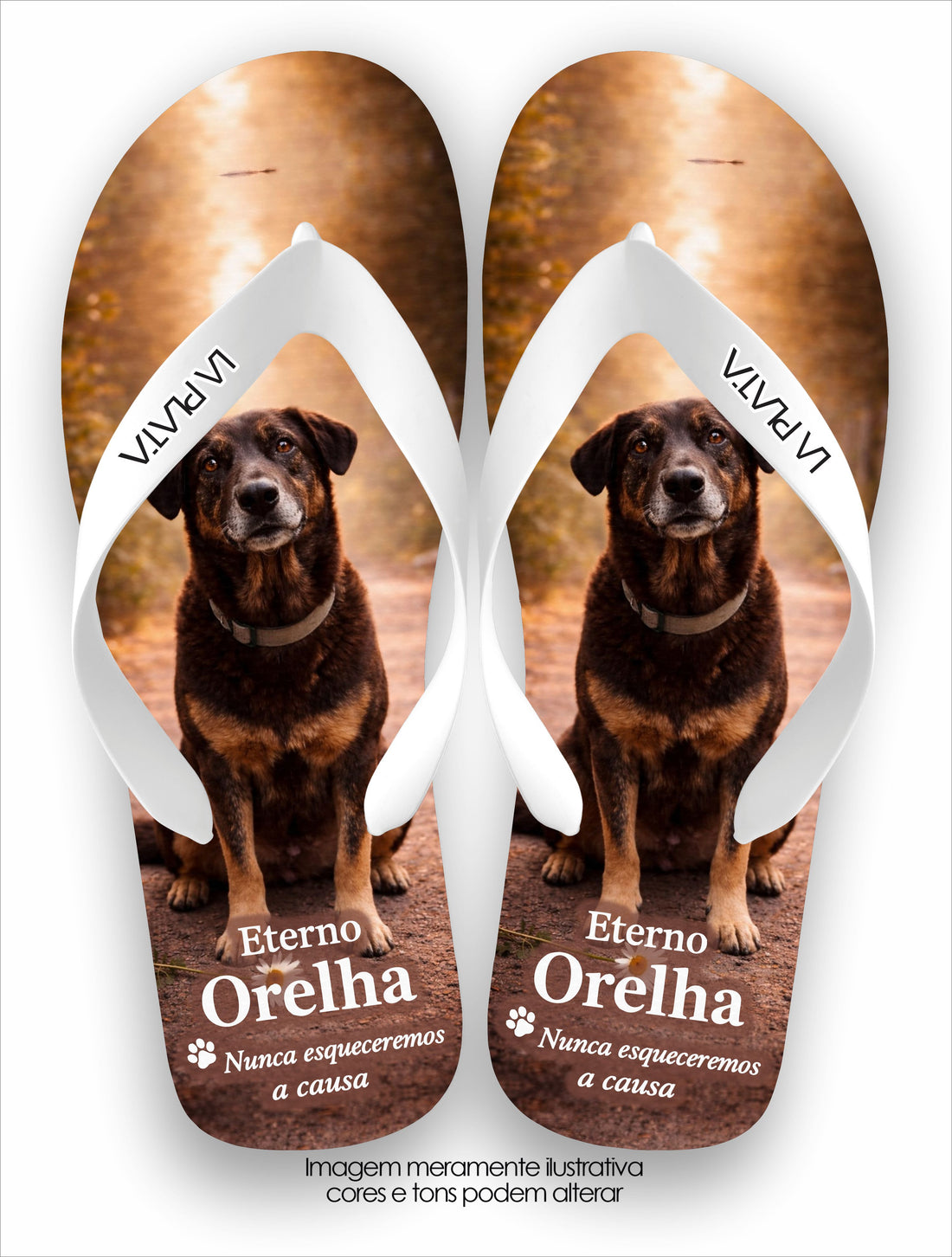 Chinelo Tradicional La Patinhas Dogs Eterno Cachorro Orelha
