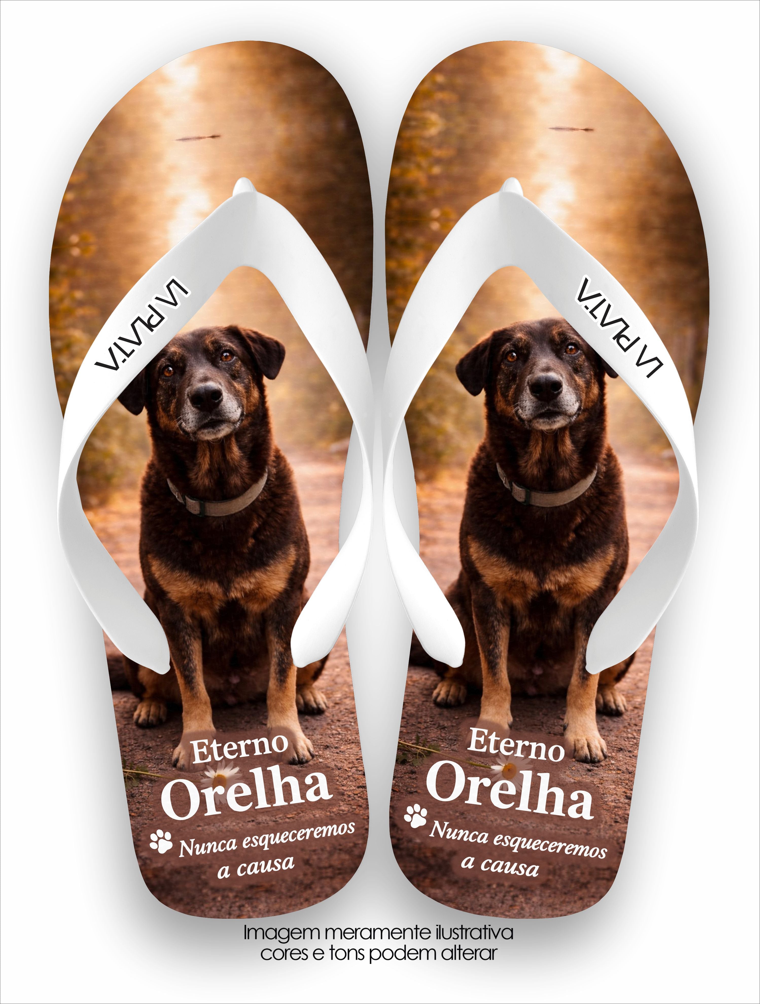 Chinelo Tradicional La Patinhas Dogs Eterno Cachorro Orelha