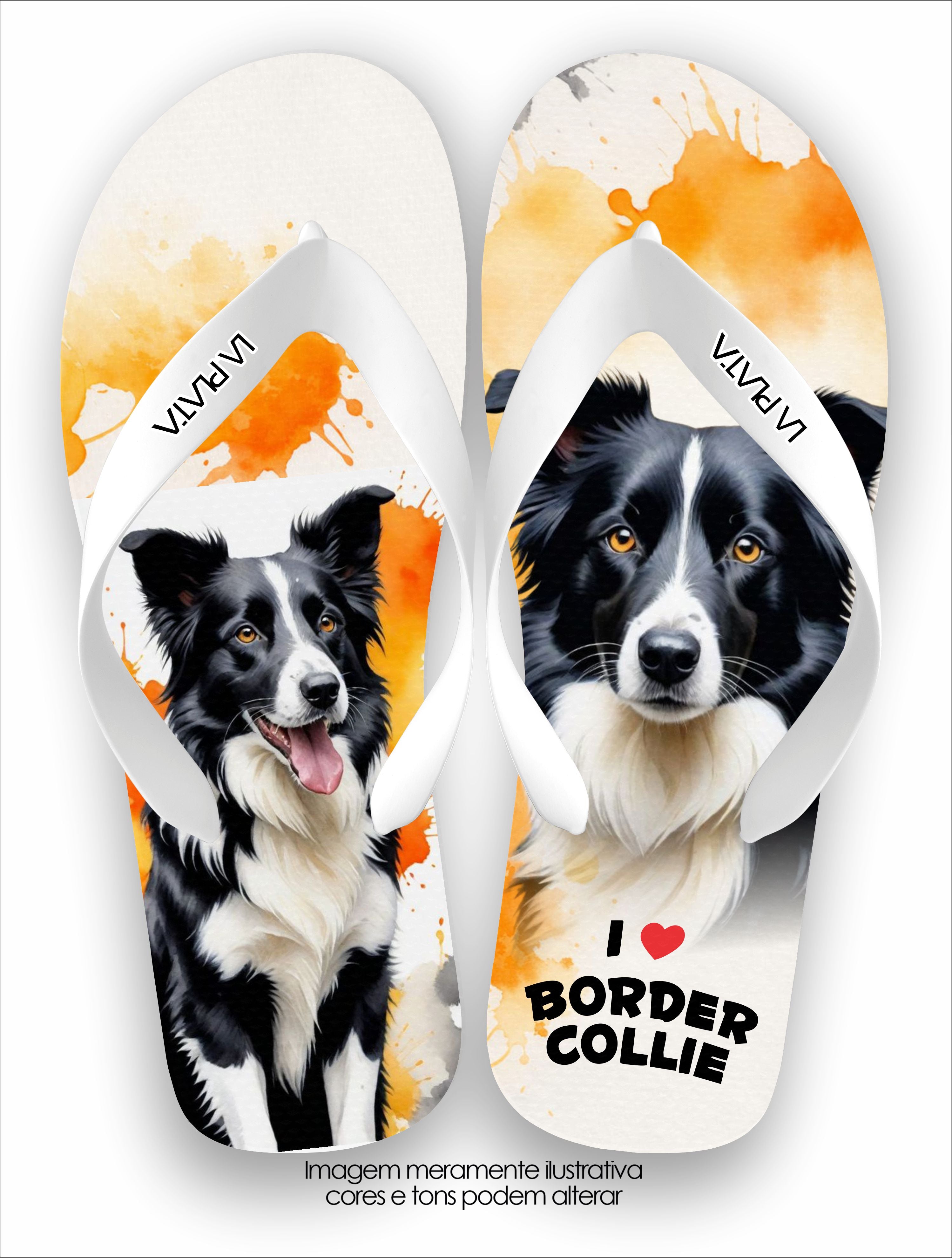 Chinelo Tradicional La Patinhas Dogs I Love Border Collie