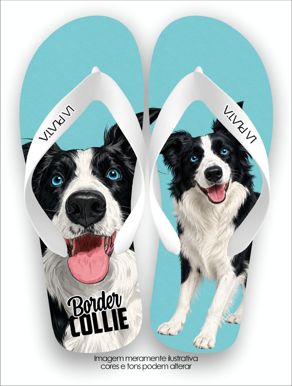 Chinelo Tradicional La Patinhas Dogs Border Collie Encantador
