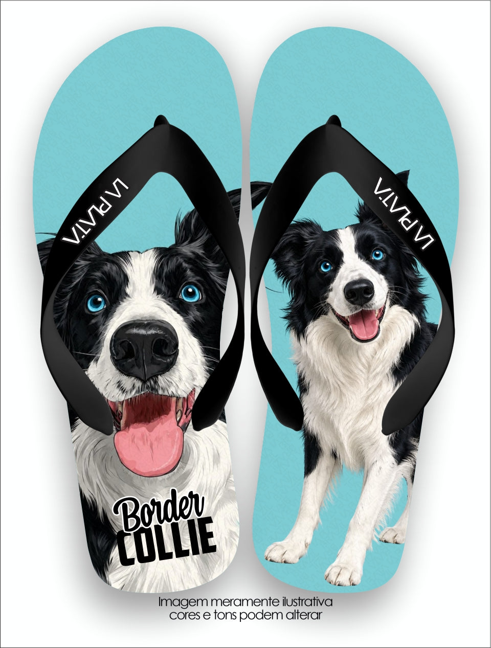 Chinelo Tradicional La Patinhas Dogs Border Collie Encantador