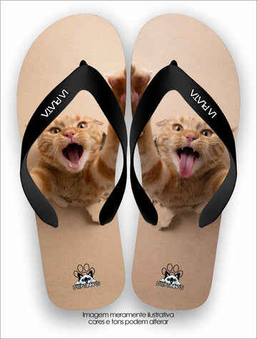 Chinelo Tradicional La Patinhas Cats Caramelo