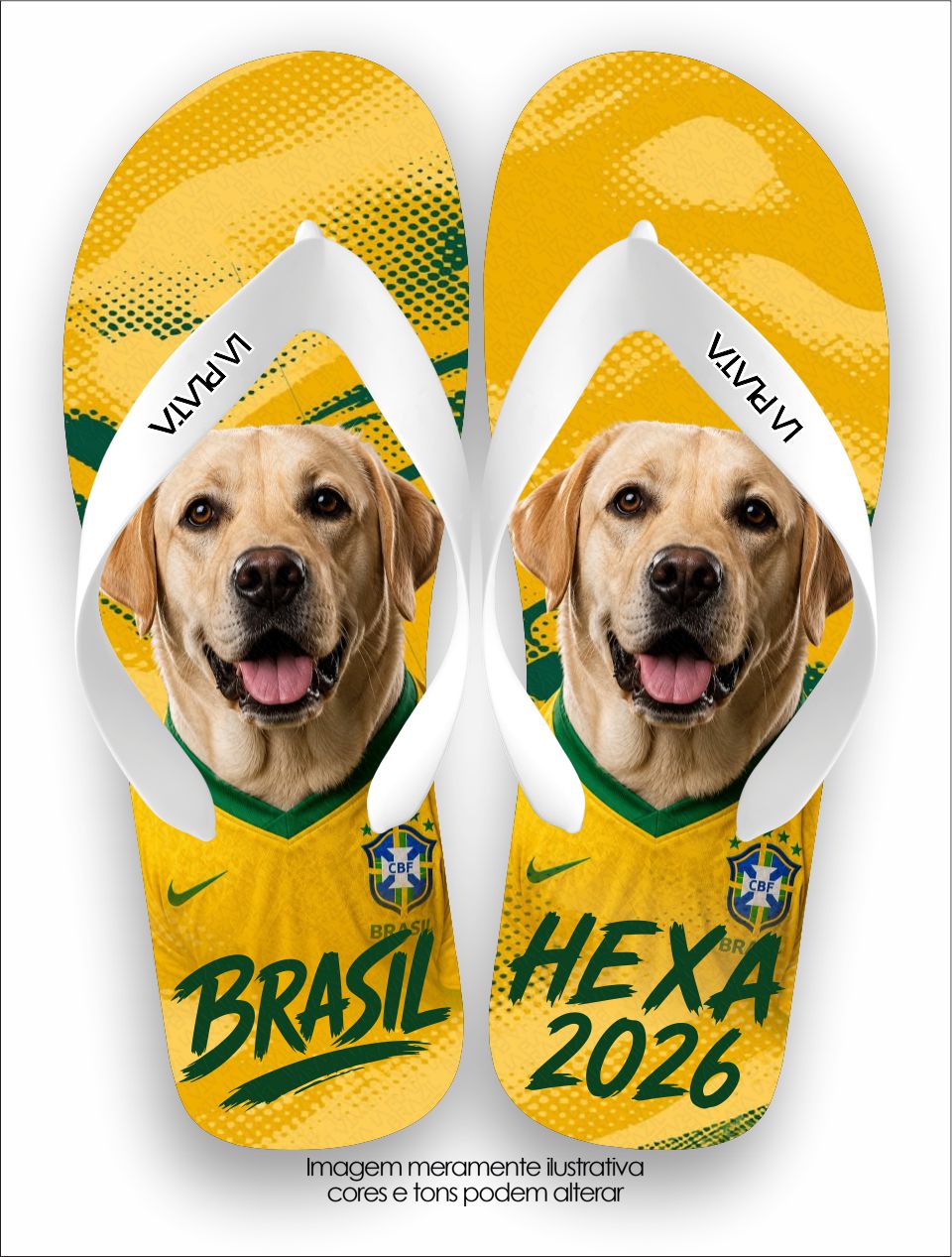 Chinelo Tradicional La Copa Pets Labrador Retriever