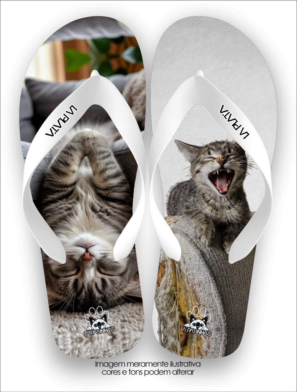 Chinelo Tradicional La Patinhas Cats Zem