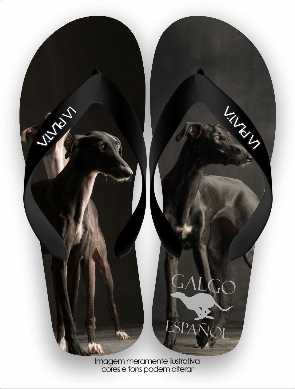 Chinelo Tradicional La Patinhas Dogs Galgo Español