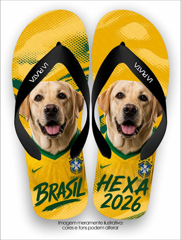 Chinelo Tradicional La Copa Pets Labrador Retriever