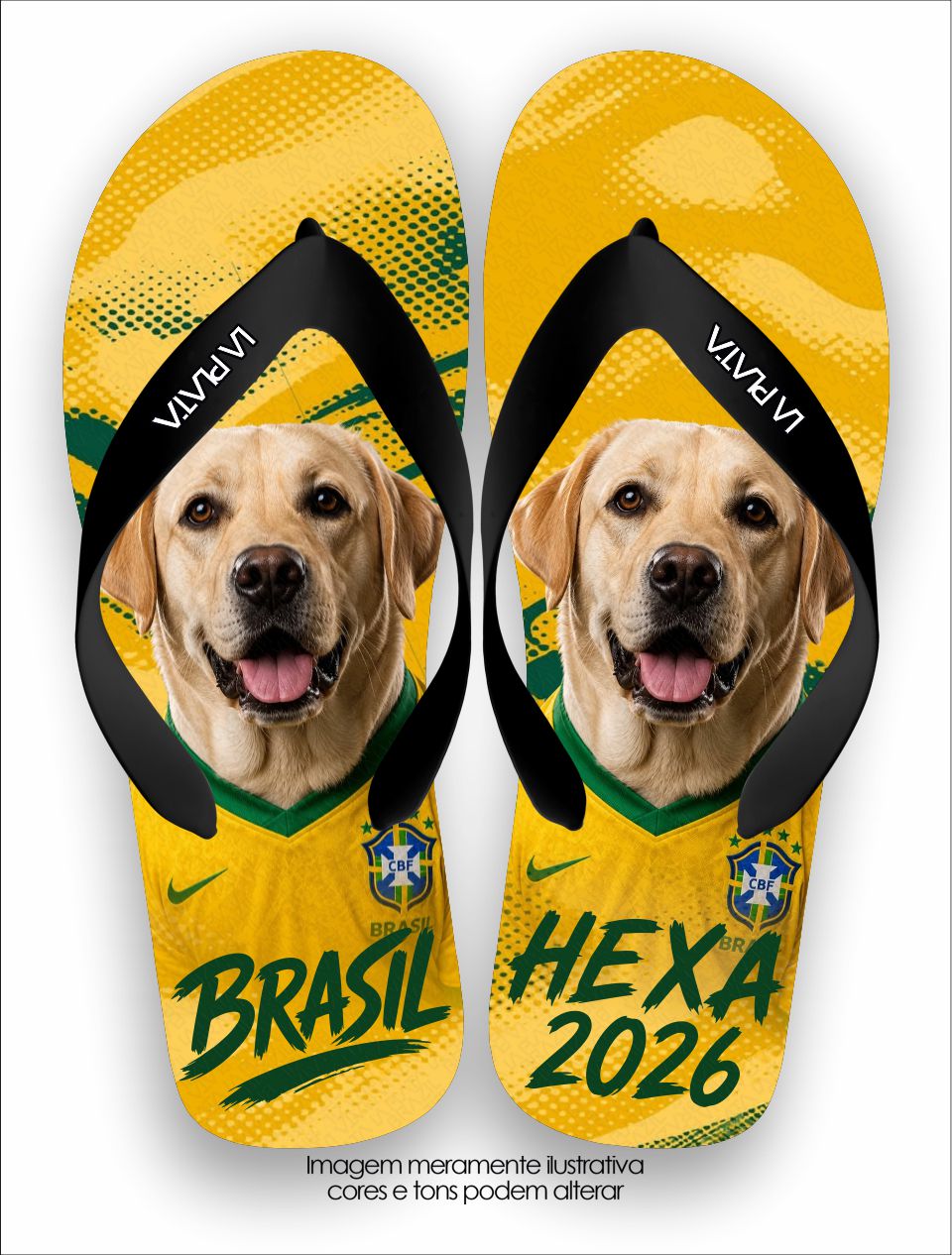 Chinelo Tradicional La Copa Pets Labrador Retriever