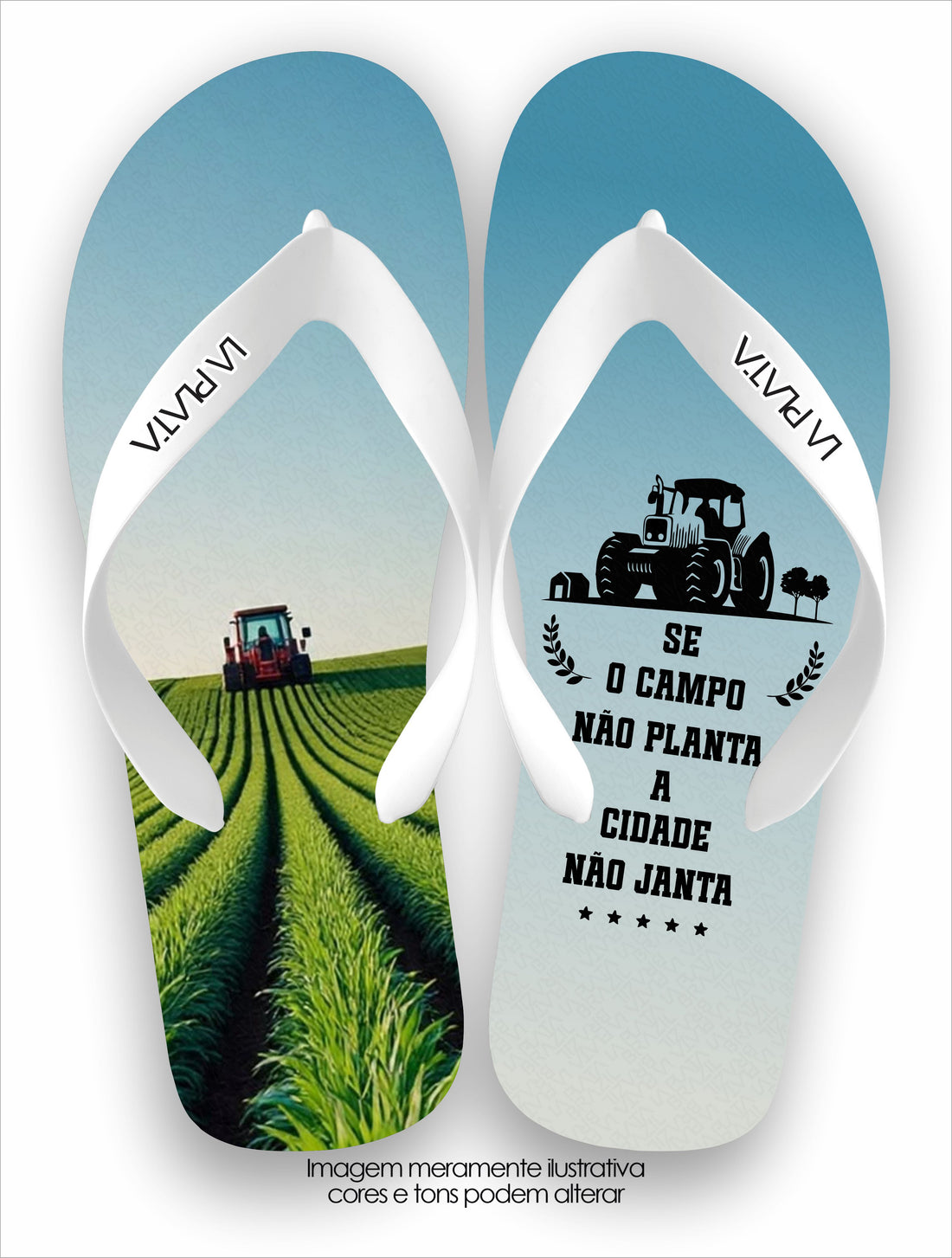 Chinelo Tradicional La Agro Brasil O Campo Planta