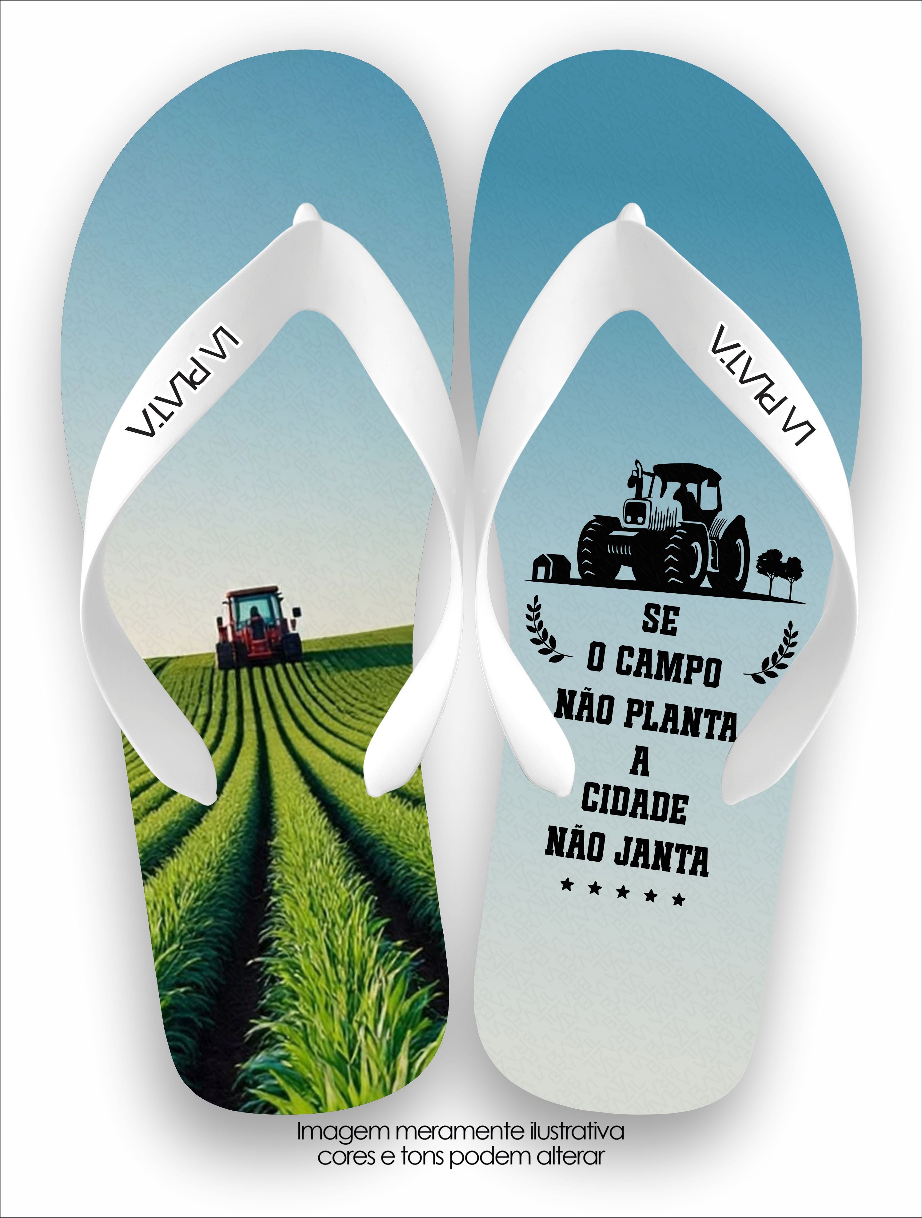 Chinelo Tradicional La Agro Brasil O Campo Planta