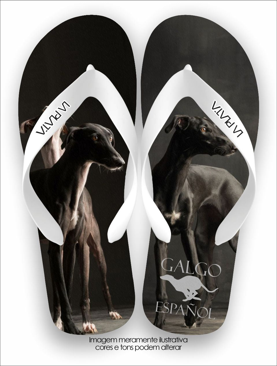 Chinelo Tradicional La Patinhas Dogs Galgo Español