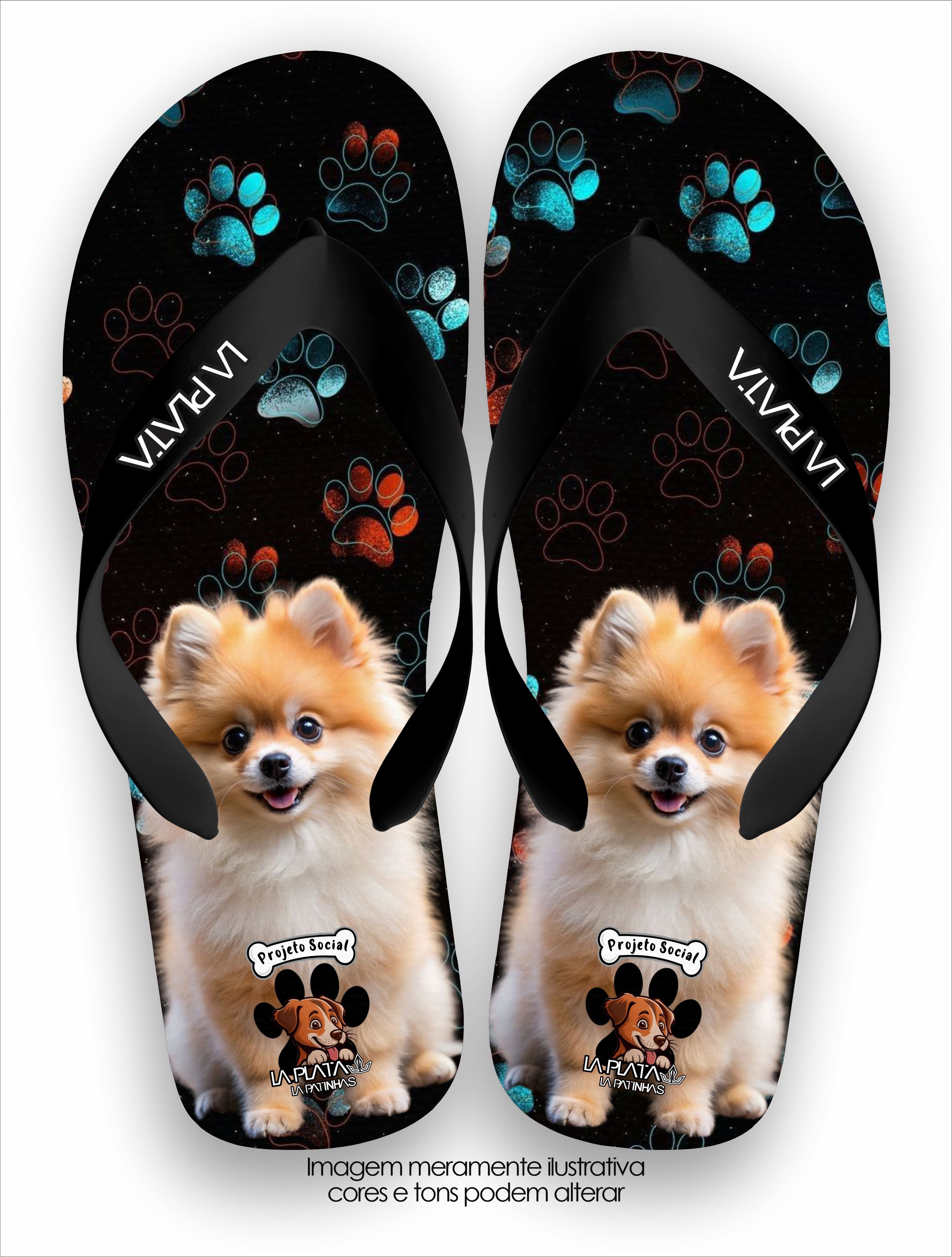 Chinelo Tradicional La Patinhas Spitz