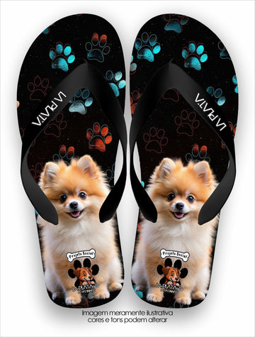 Chinelo Tradicional La Patinhas Spitz