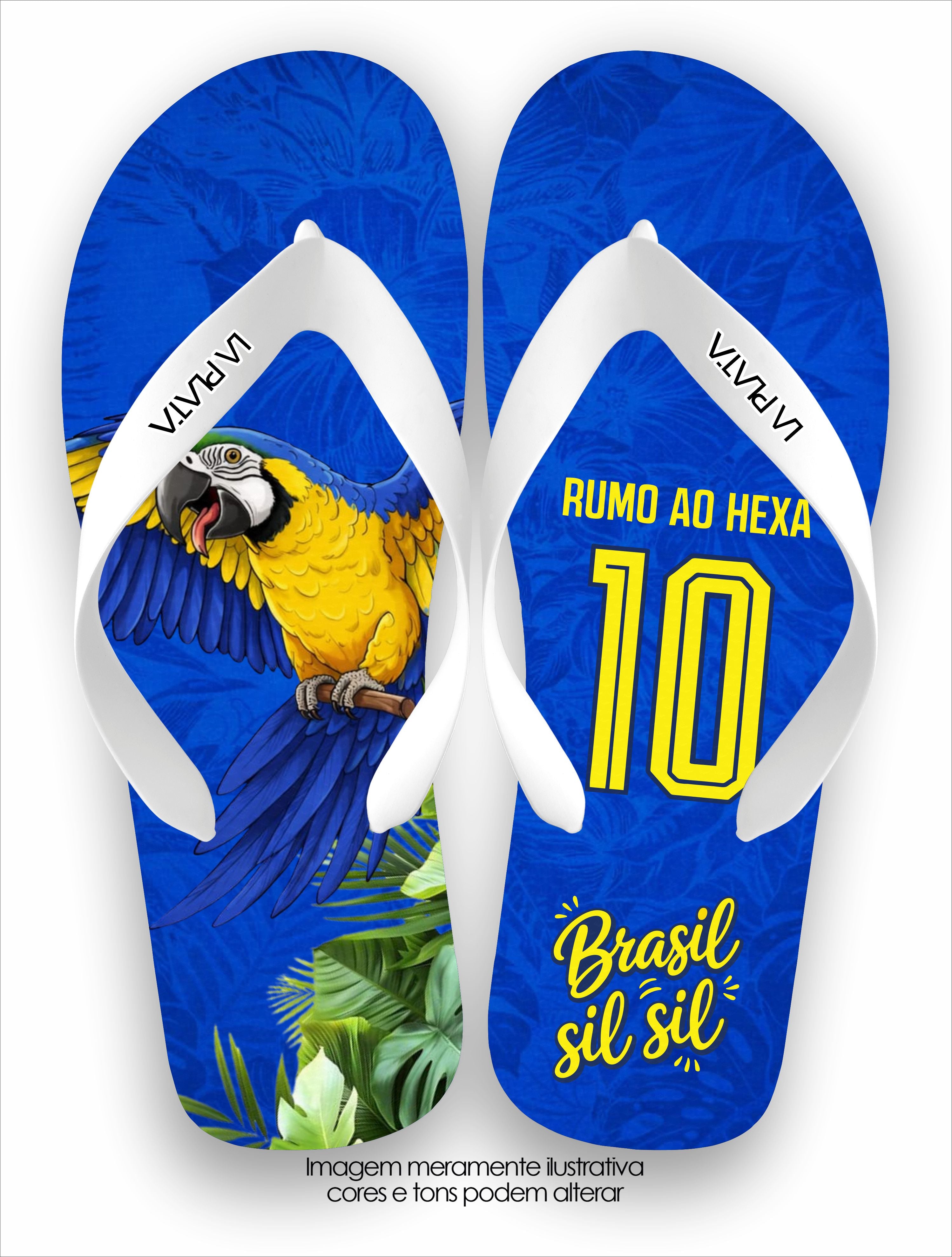 Chinelo Tradicional La Copa 2026 Arara Azul Rumo ao Hexa