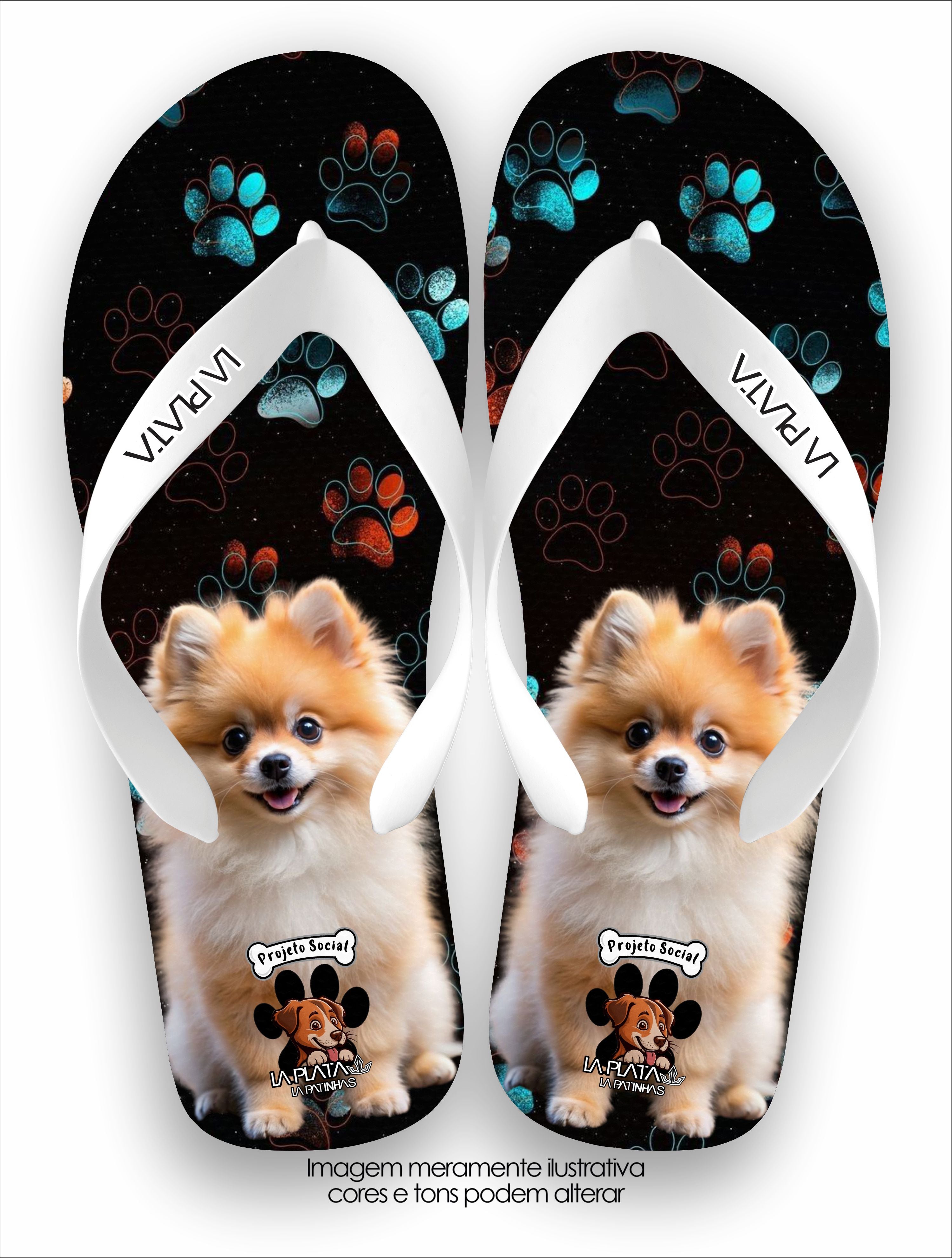 Chinelo Tradicional La Patinhas Spitz