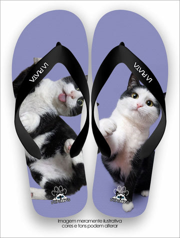 Chinelo Tradicional La Patinhas Cats Violet