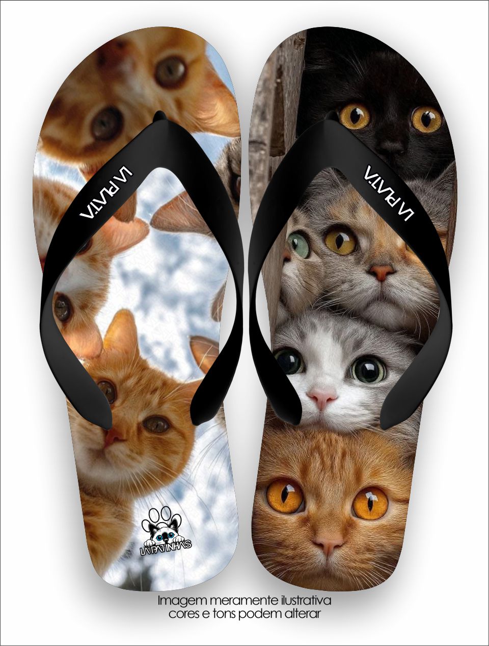 Chinelo Tradicional La Patinhas Cats Gangue Dos Gatos