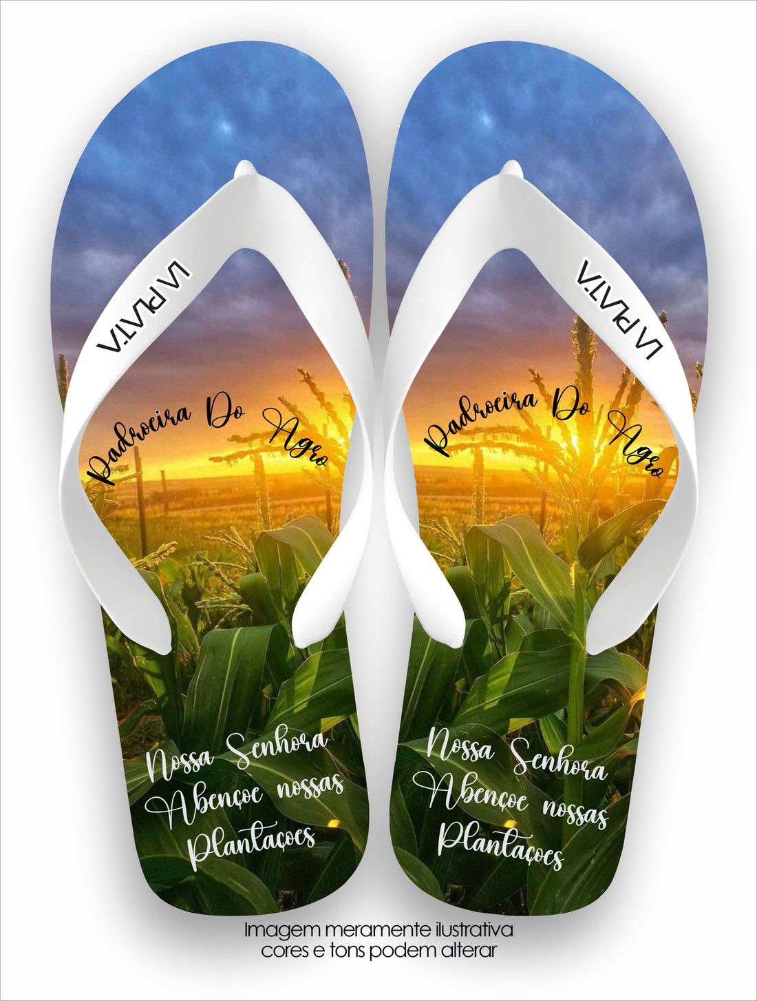 Chinelo Tradicional La Agro Brasil Padroeira do Agro