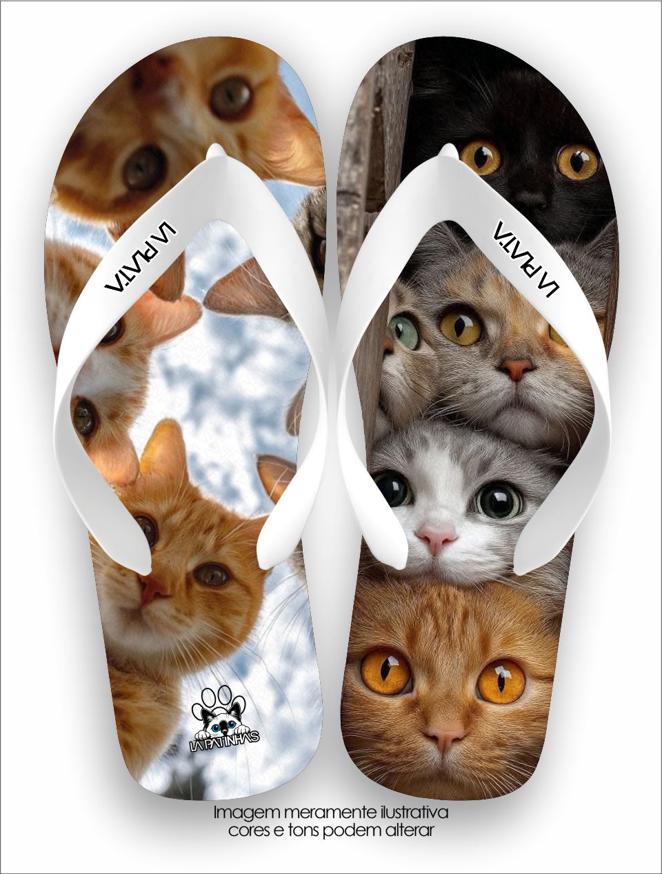 Chinelo Tradicional La Patinhas Cats Gangue Dos Gatos
