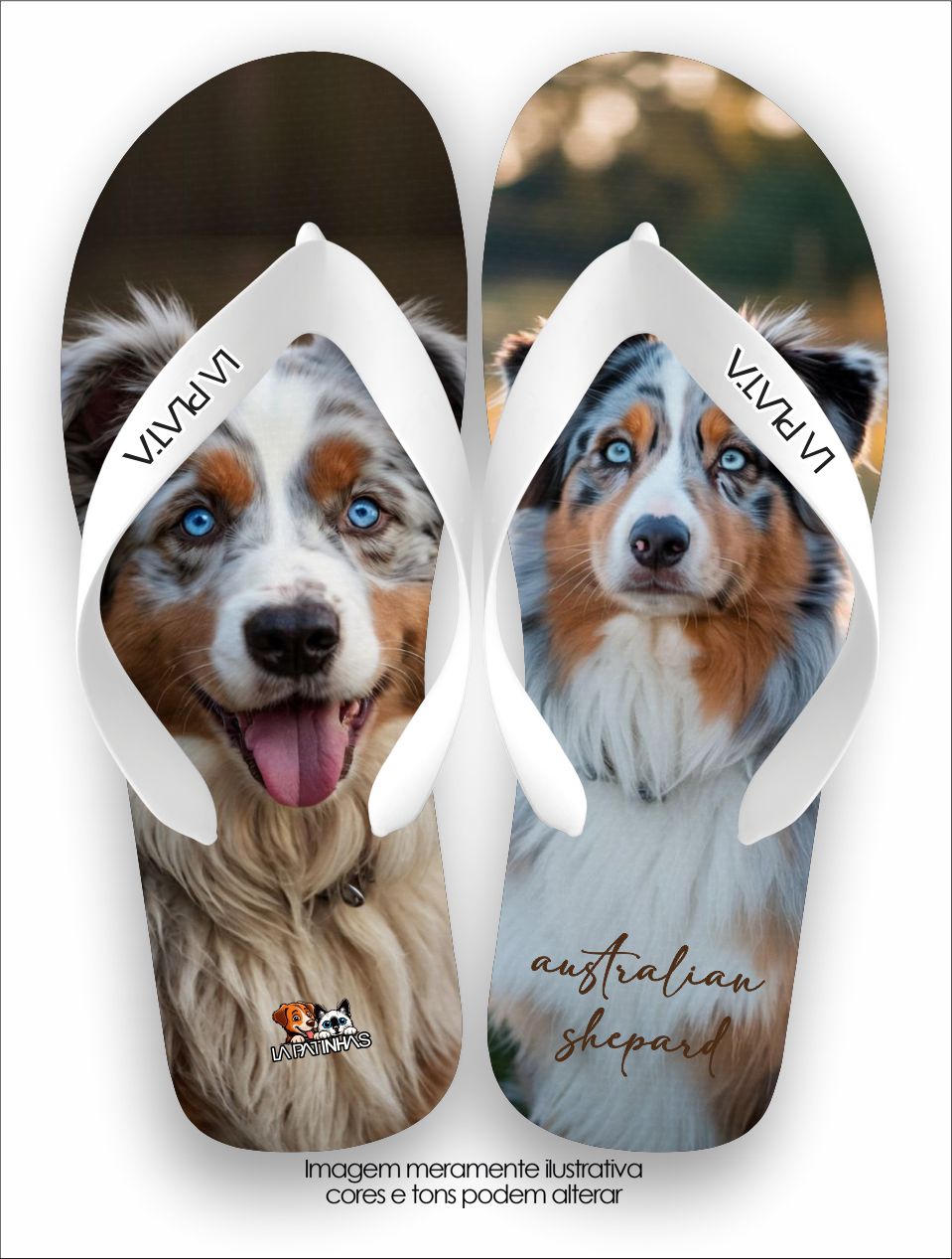 Chinelo Tradicional La Patinhas Dogs Australian Shepard