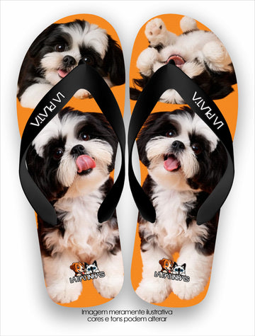 Chinelo Tradicional La Patinhas Dogs Shih Tzu