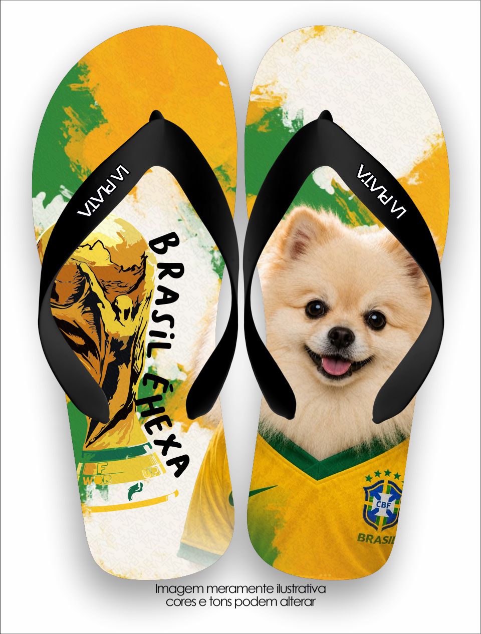 Chinelo Tradicional La Copa Pets Lulu da Pomerânia Brasileiro