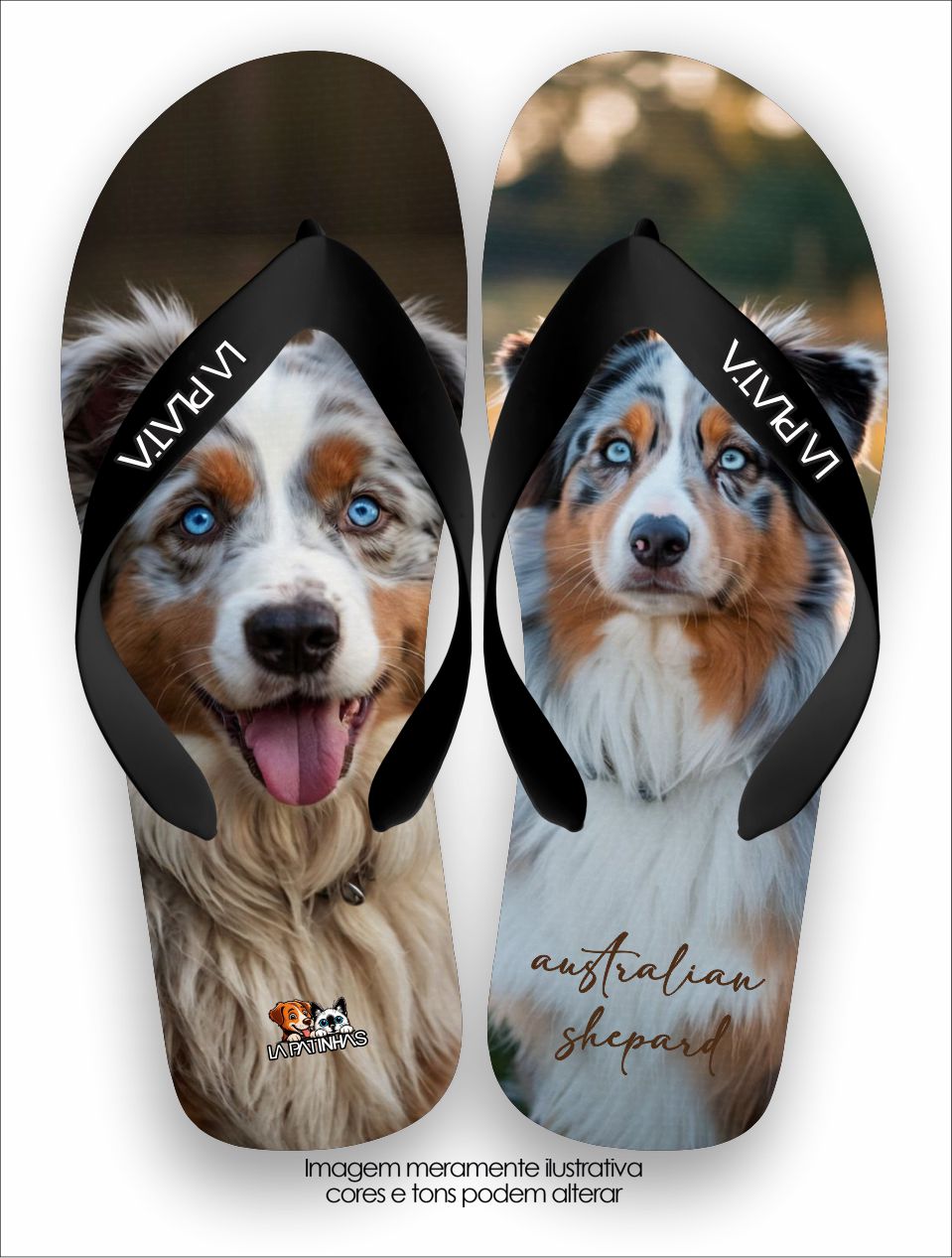 Chinelo Tradicional La Patinhas Dogs Australian Shepard