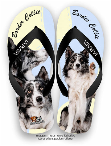 Chinelo Tradicional La Patinhas Dogs Border Collie Gray