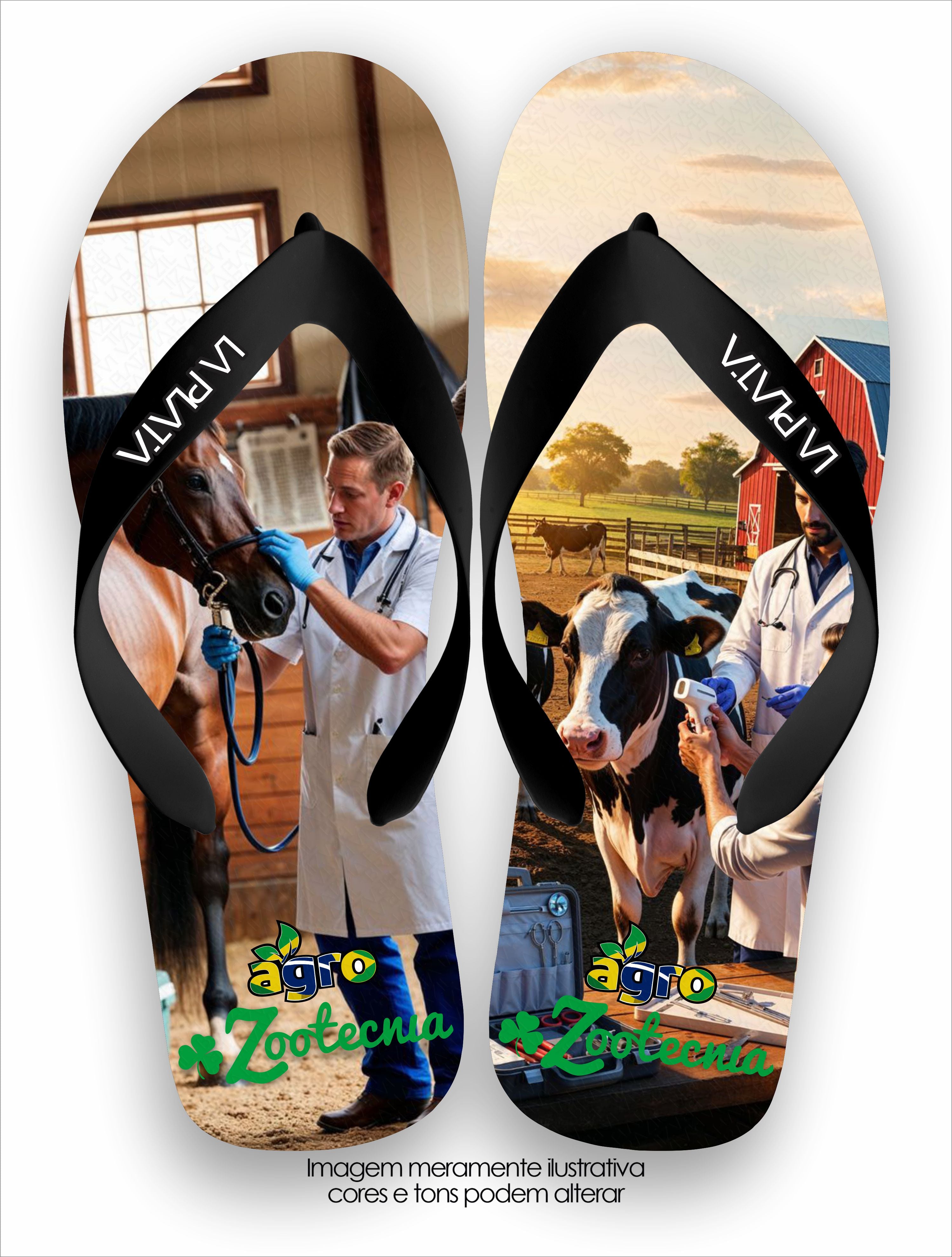 Chinelo Tradicional La Agro Brasil Zootecnia