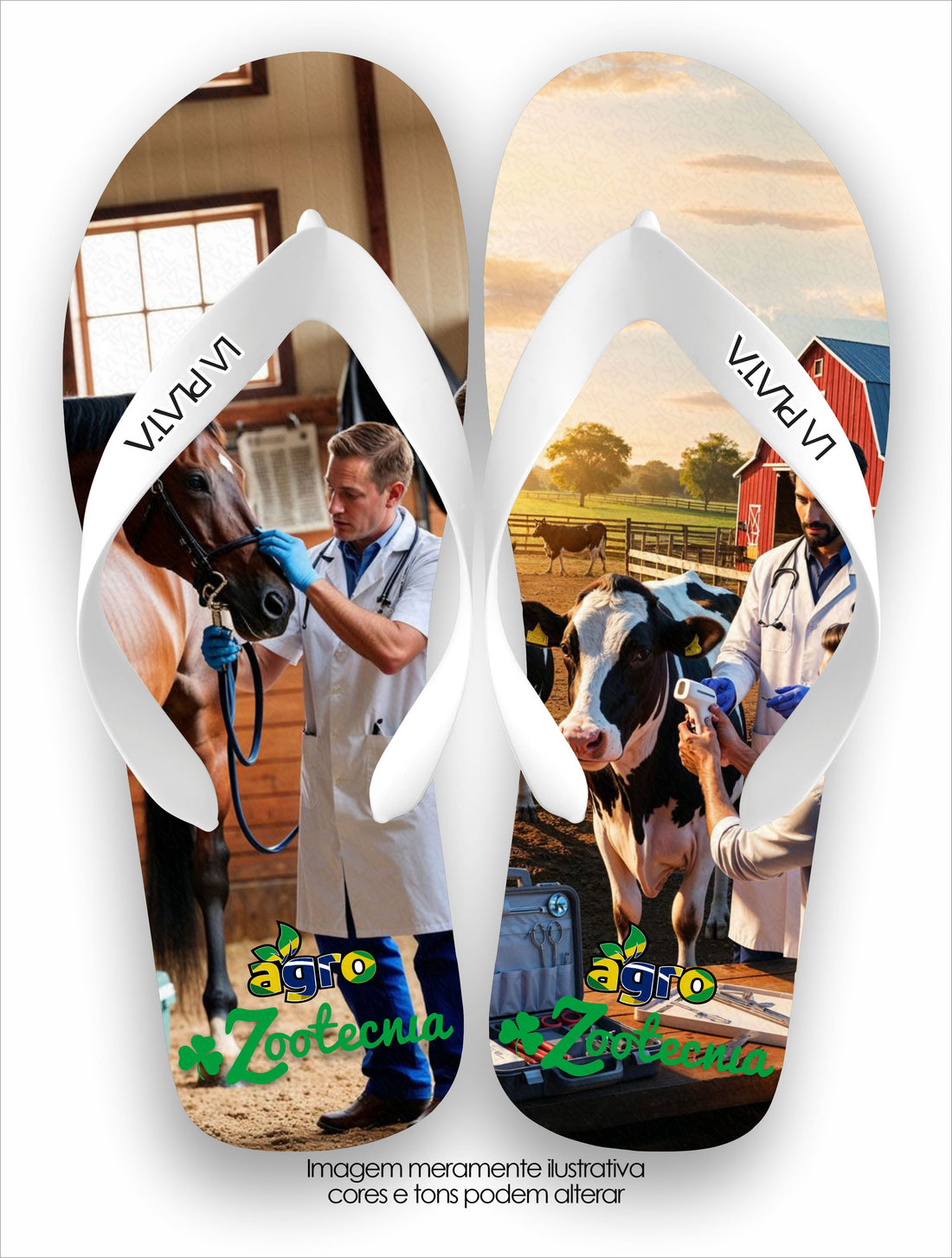 Chinelo Tradicional La Agro Brasil Zootecnia