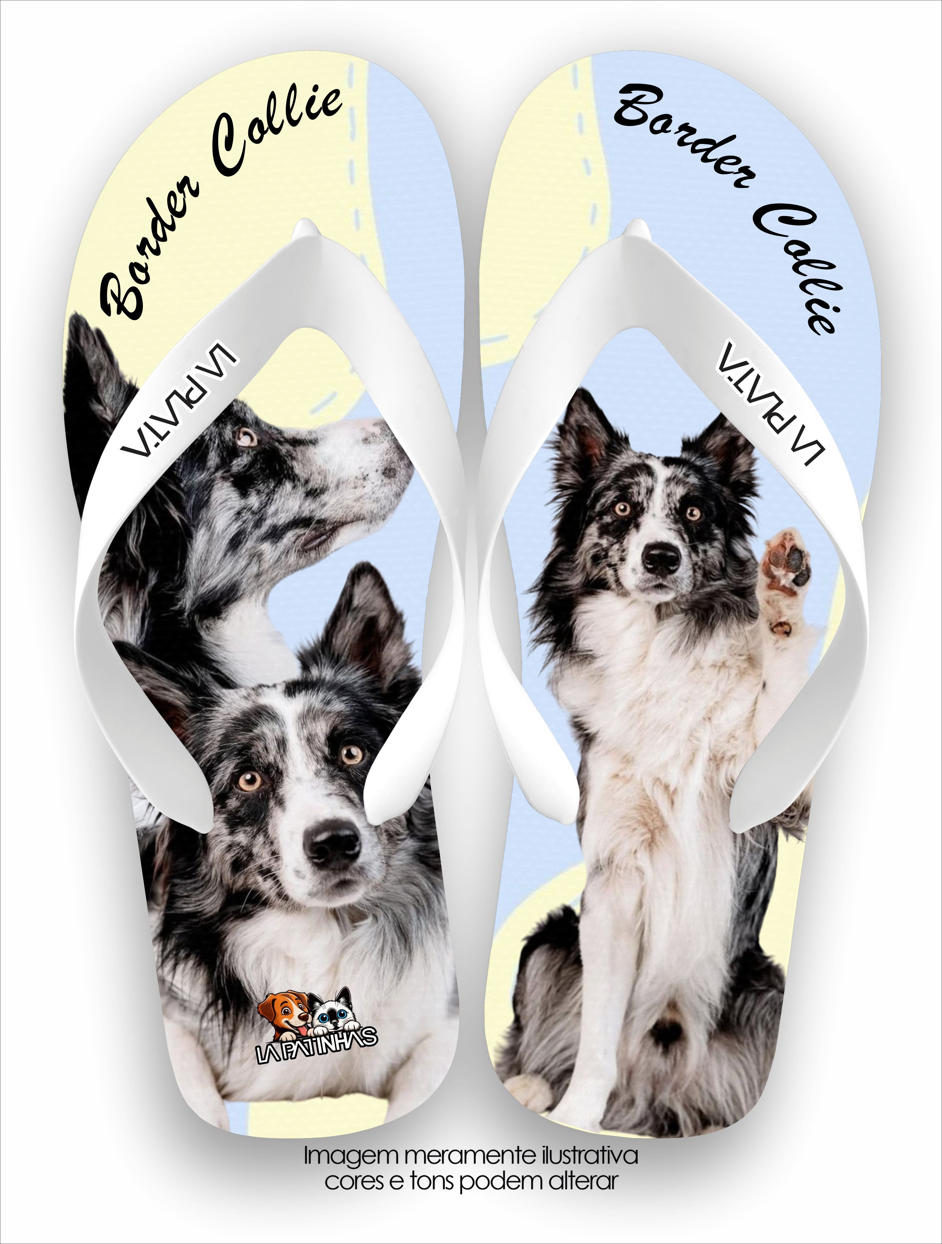 Chinelo Tradicional La Patinhas Dogs Border Collie Gray