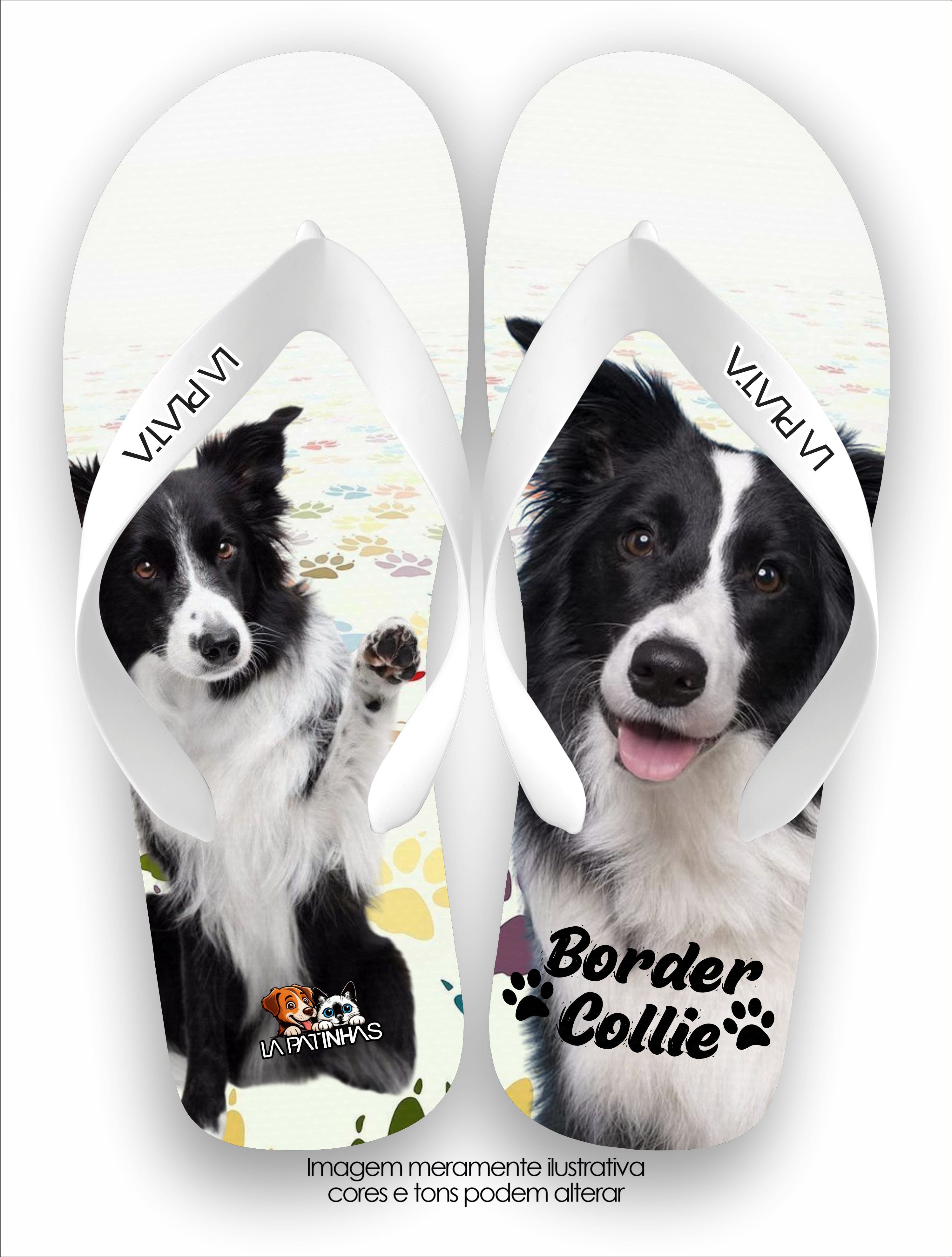 Chinelo Tradicional La Patinhas Dogs Border Collie Preto & Branco