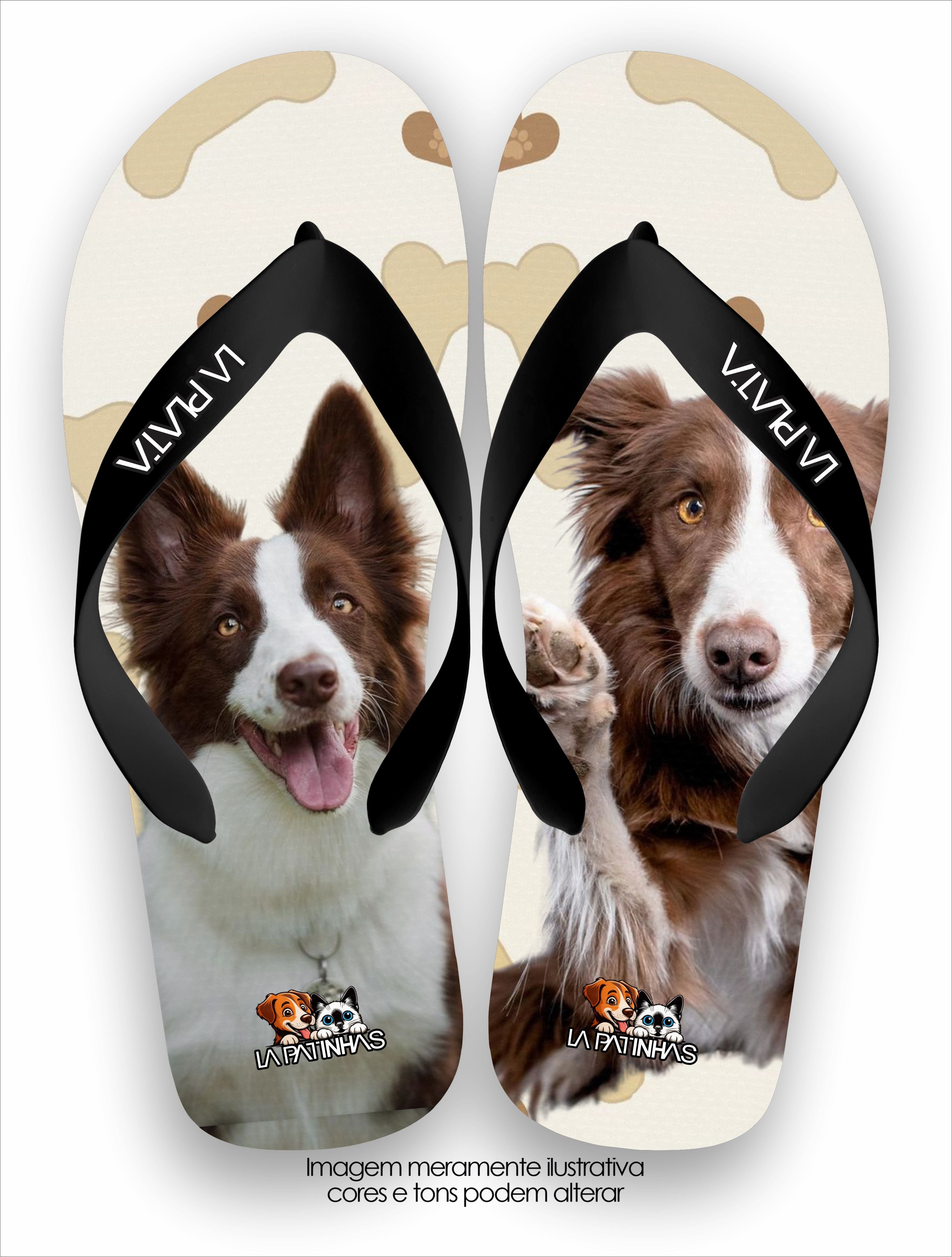 Chinelo Tradicional La Patinhas Dogs Border Collie Chocolate