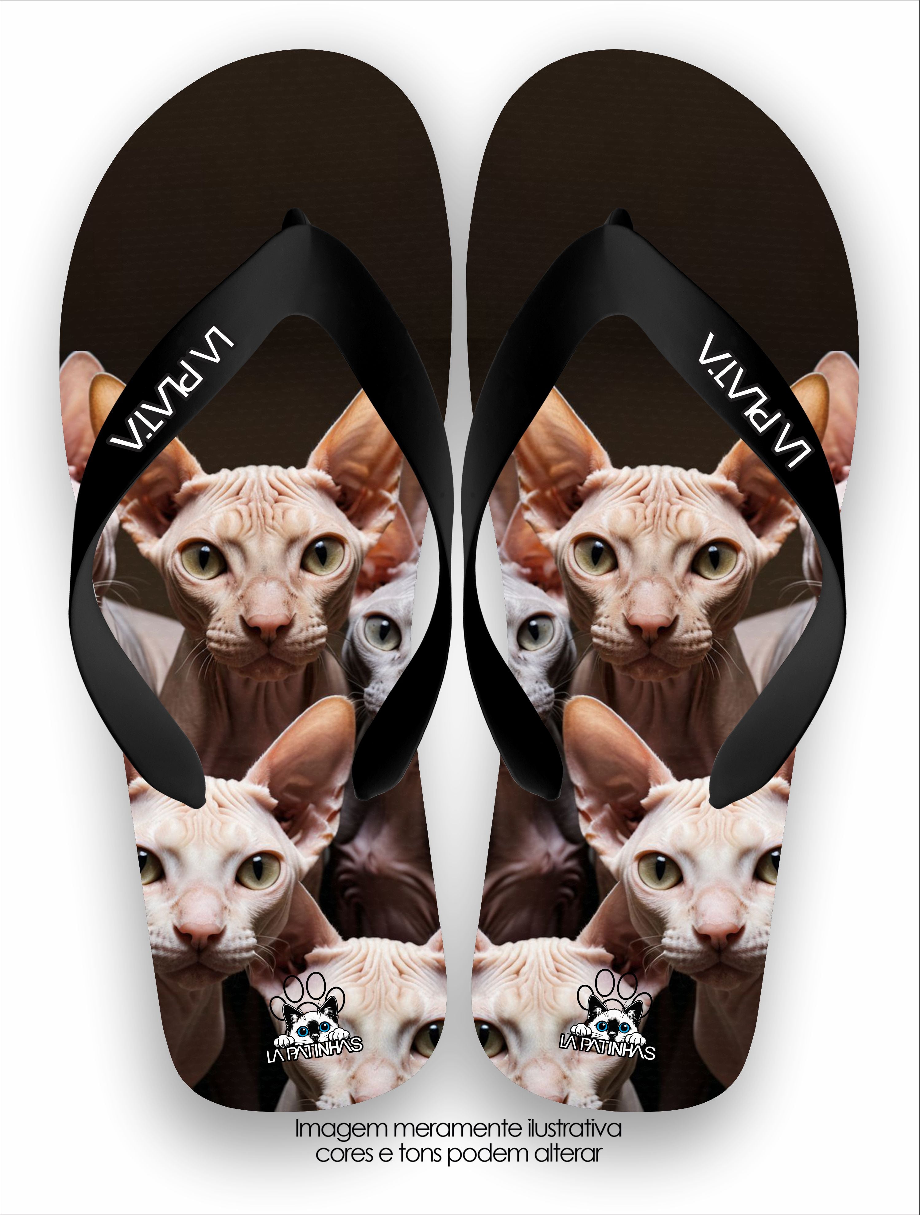 Chinelo Tradicional La Patinhas Cats Sphynx
