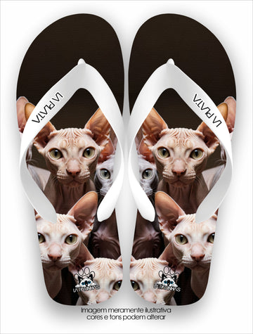 Chinelo Tradicional La Patinhas Cats Sphynx