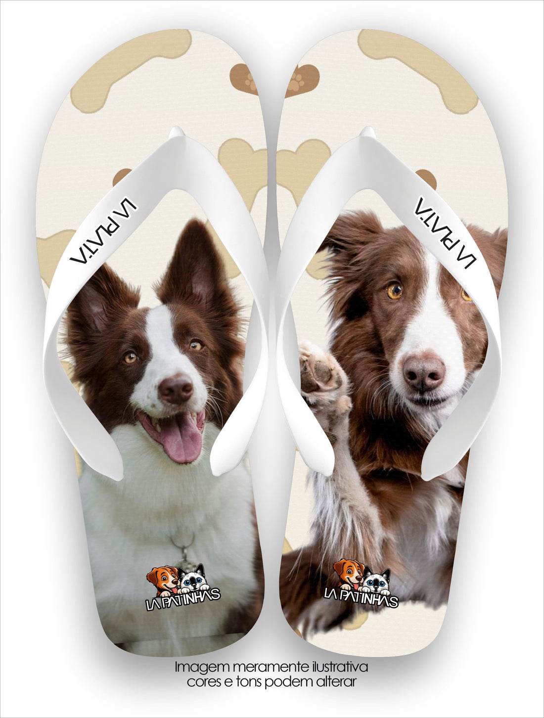 Chinelo Tradicional La Patinhas Dogs Border Collie Chocolate