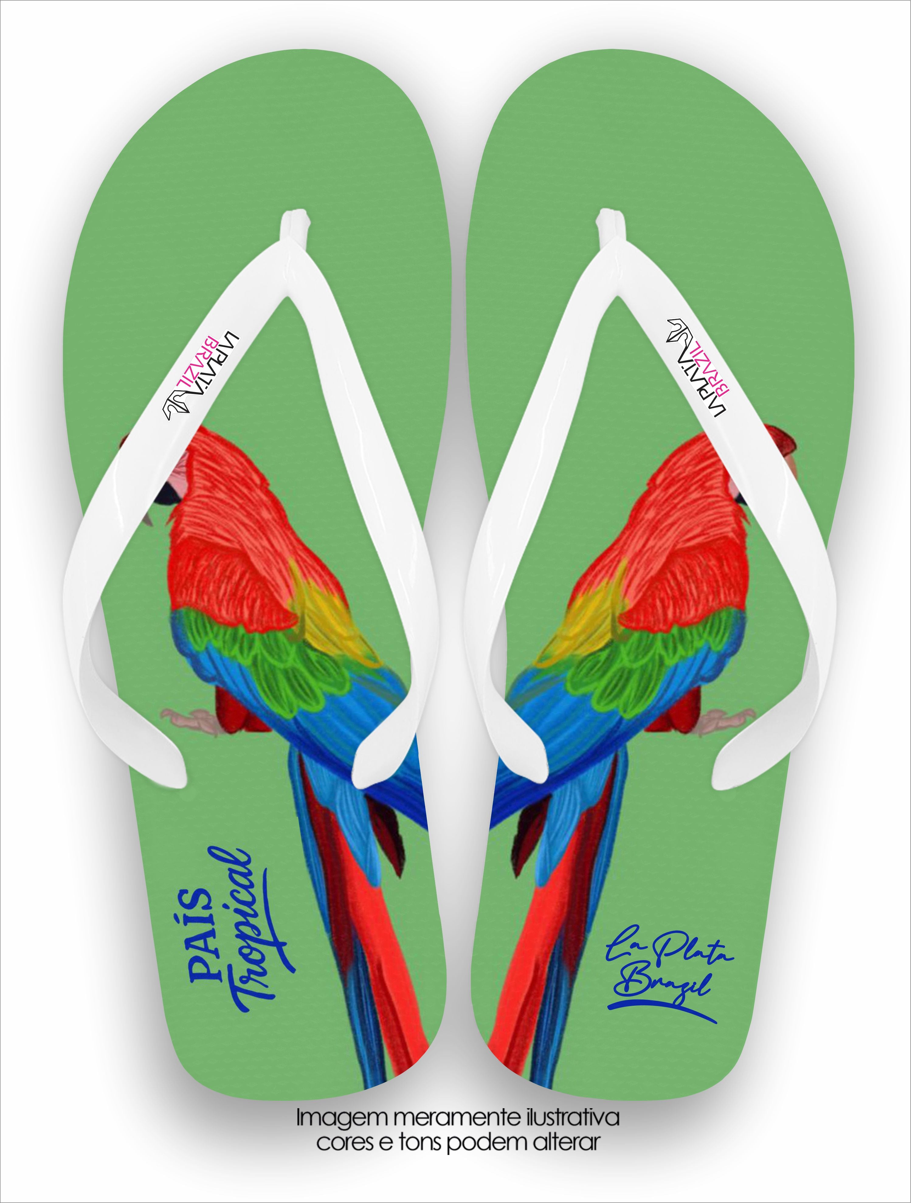 Chinelo Tradicional La Feminina Arara País Tropical