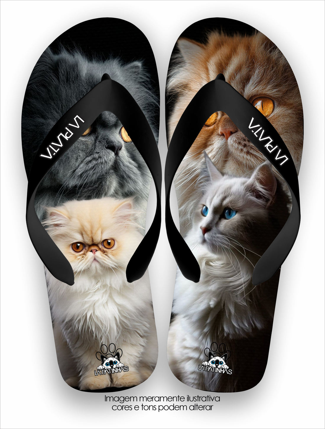 Chinelo Tradicional La Patinhas Cats Persian