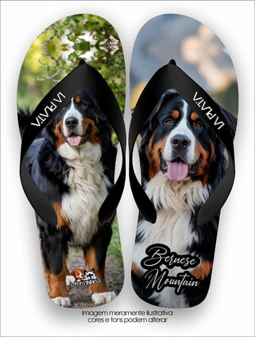 Chinelo Tradicional La Patinhas Dogs Bernese Mountain