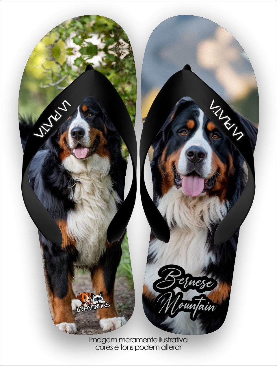 Chinelo Tradicional La Patinhas Dogs Bernese Mountain