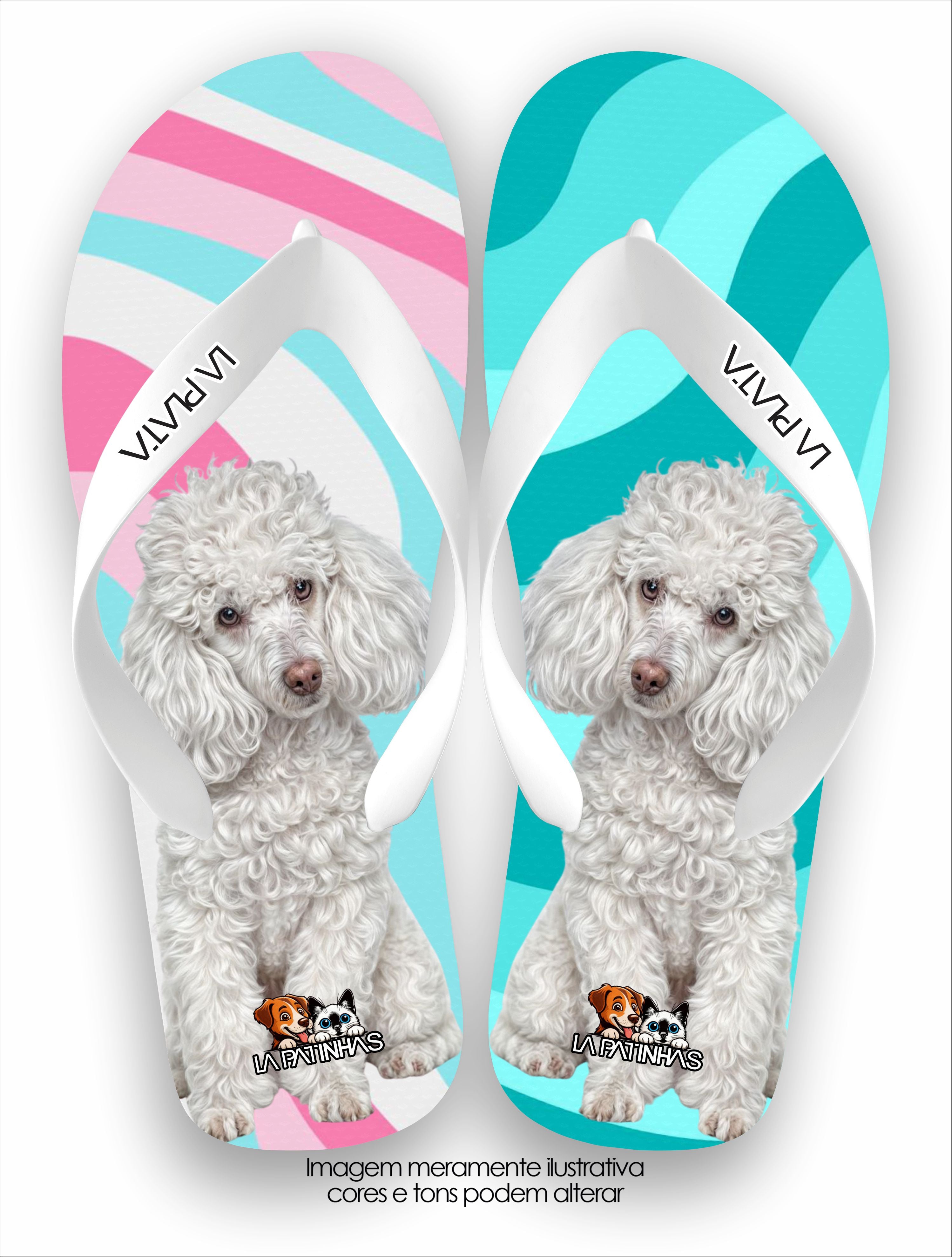 Chinelo Tradicional La Patinhas Dogs Ondas Poodle
