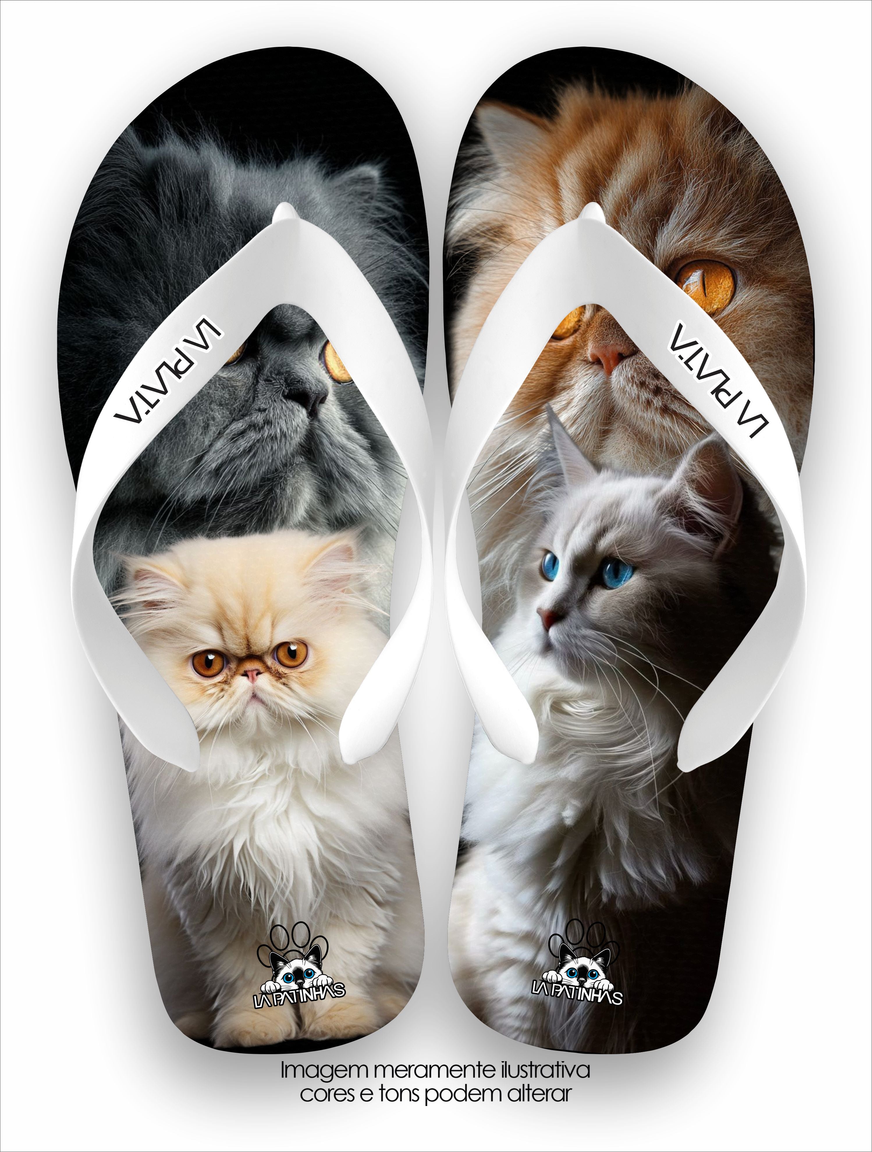 Chinelo Tradicional La Patinhas Cats Persian
