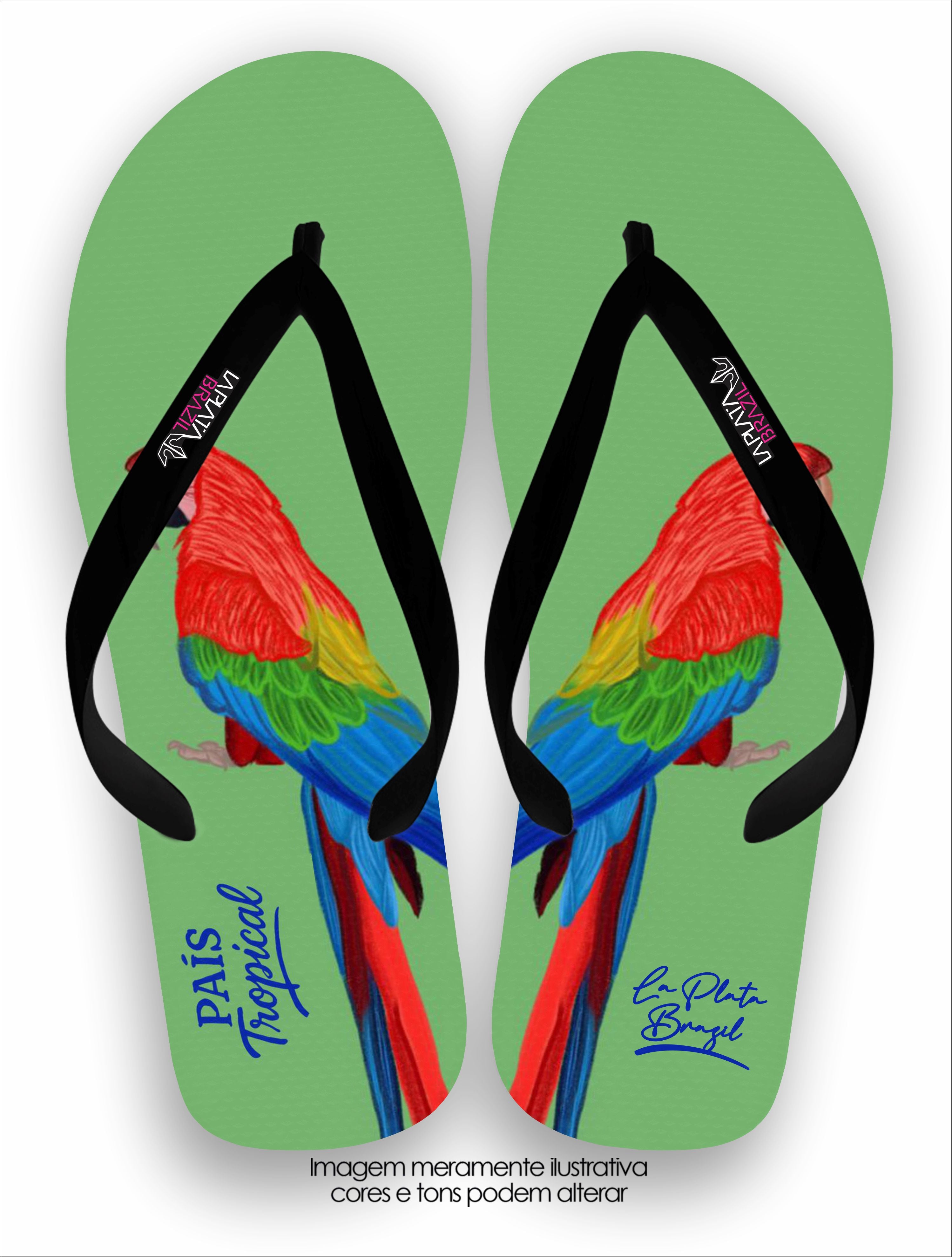 Chinelo Tradicional La Feminina Arara País Tropical