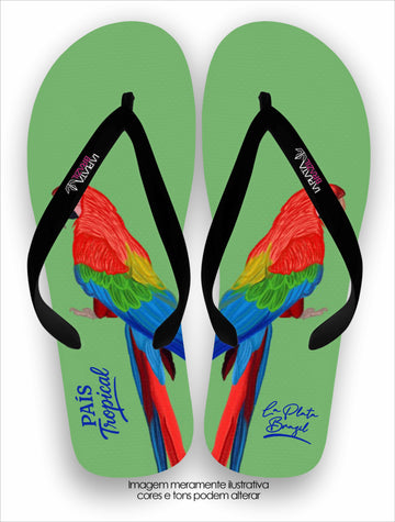 Chinelo Tradicional La Feminina Arara País Tropical