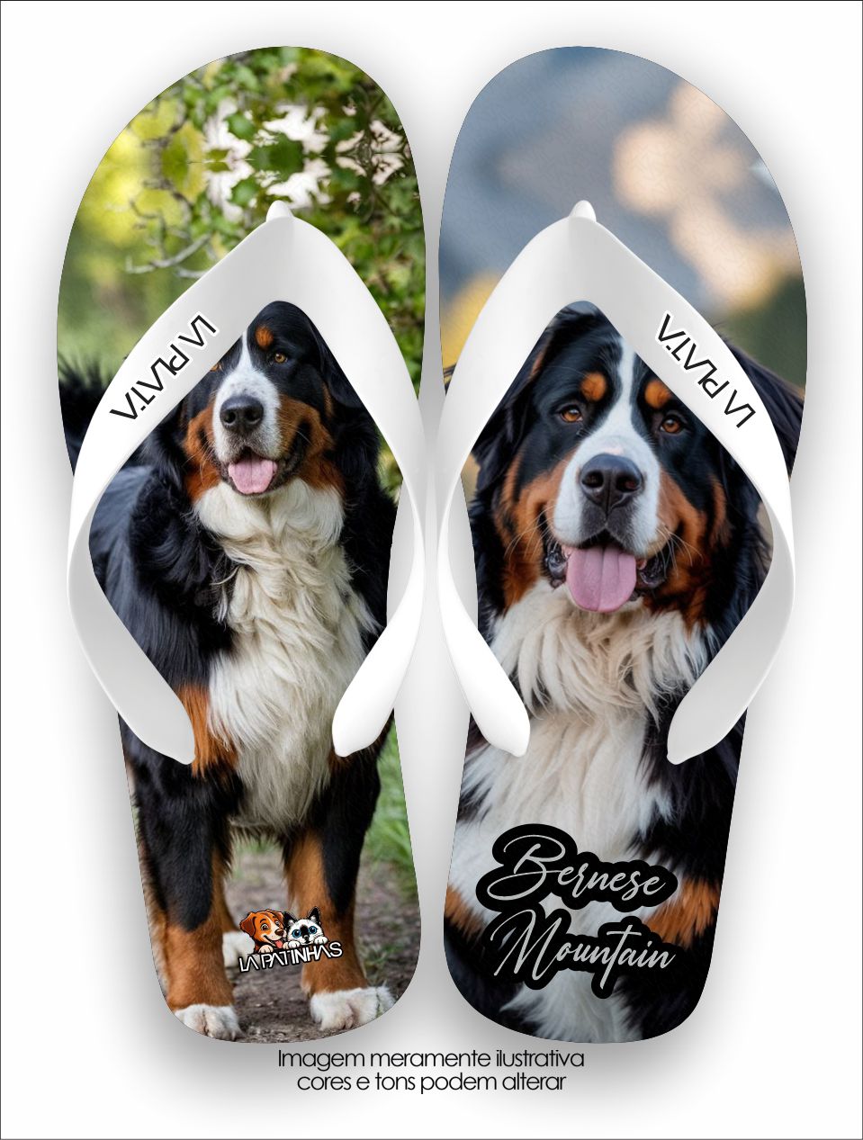 Chinelo Tradicional La Patinhas Dogs Bernese Mountain