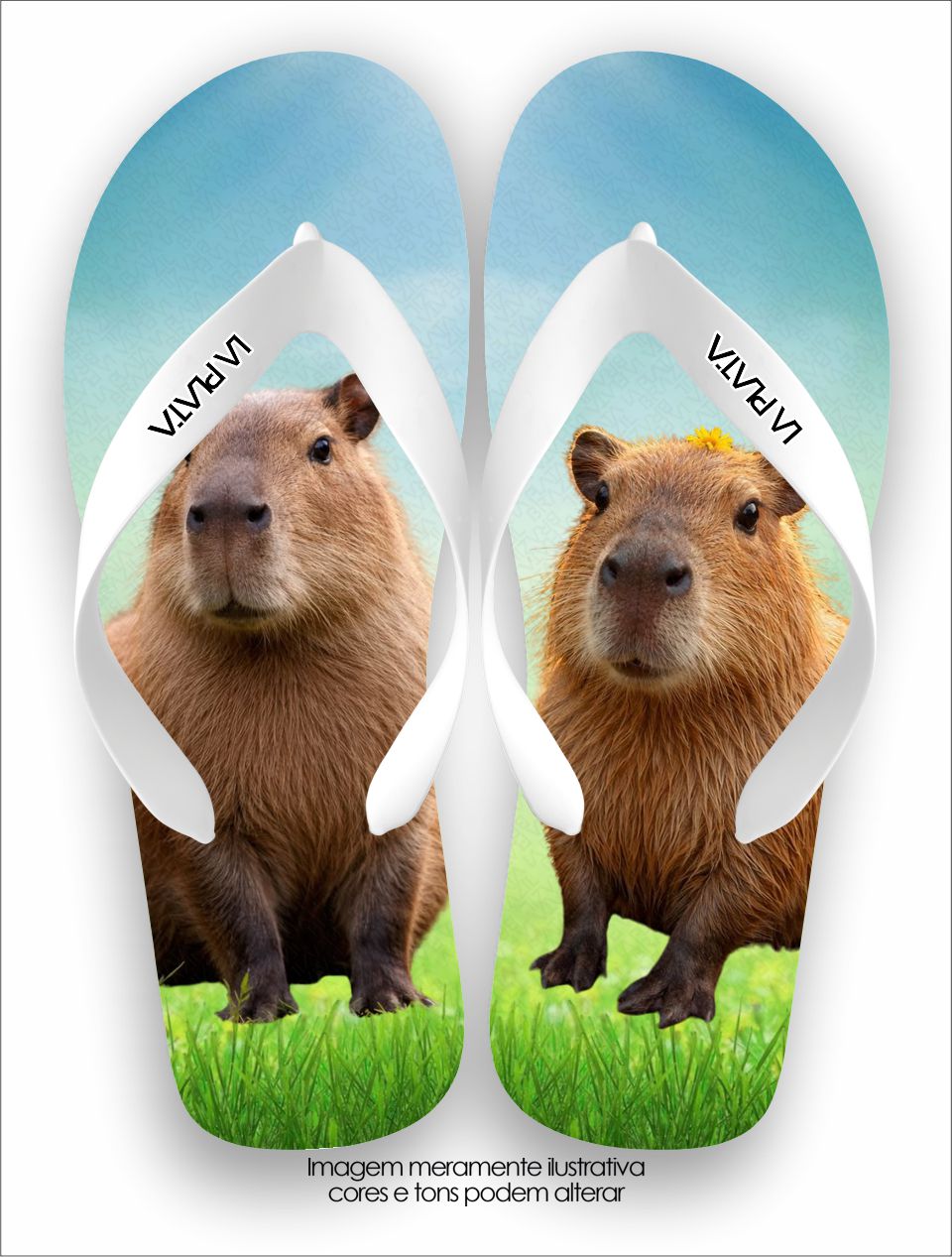 Chinelo Tradicional La Bicharada Capivara Do Pântano