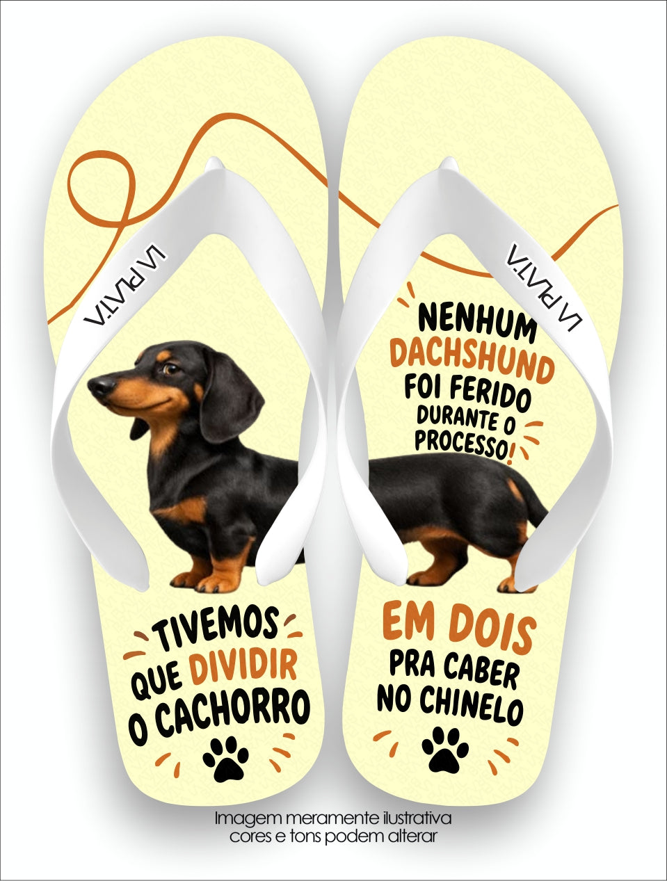 Chinelo Tradicional La Patinhas Dogs Dividimos o Dachshund