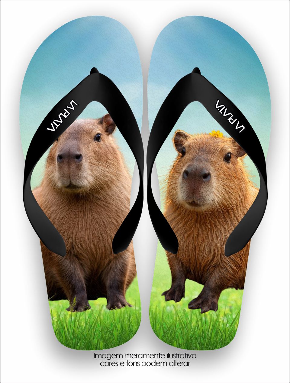 Chinelo Tradicional La Bicharada Capivara Do Pântano