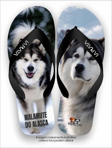 Chinelo Tradicional La Patinhas Dogs Malamute do Alasca