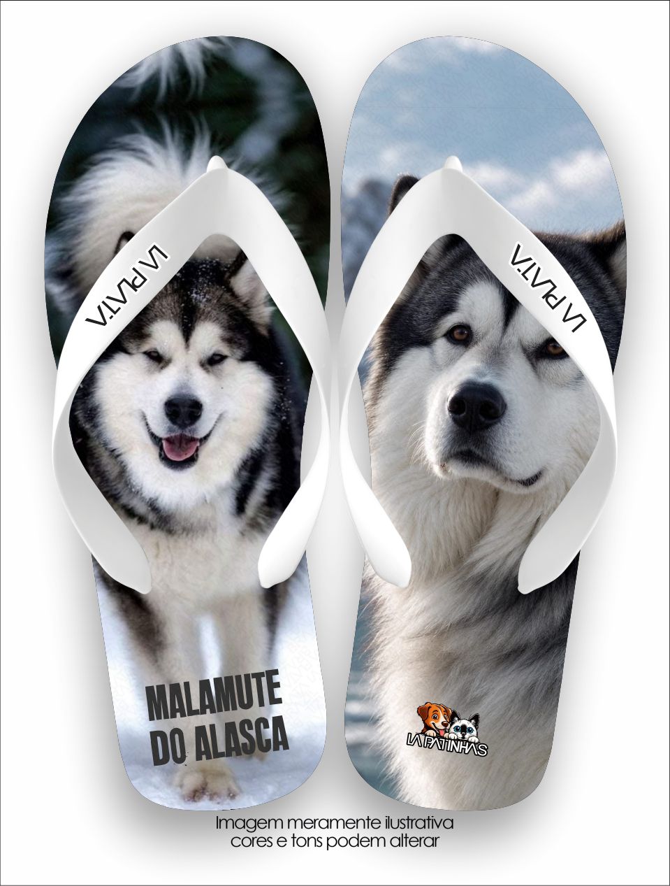 Chinelo Tradicional La Patinhas Dogs Malamute do Alasca